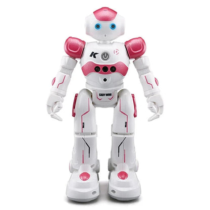 DanceBot™ – interaktivní robot ovládaný gesty