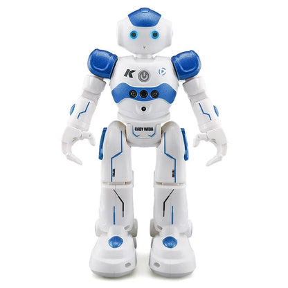 DanceBot™ – interaktivní robot ovládaný gesty