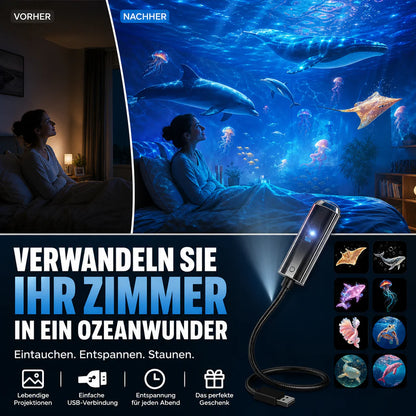 LED star projector with 10 projection slides